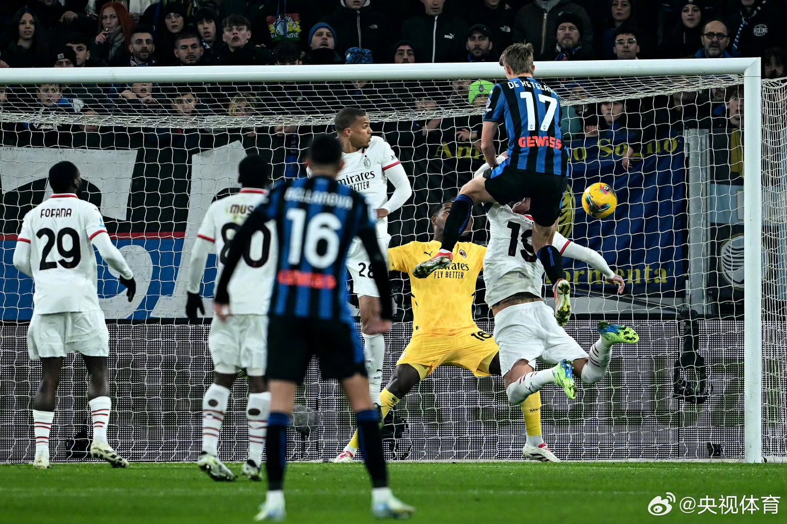 的篮球迷 的篮球迷